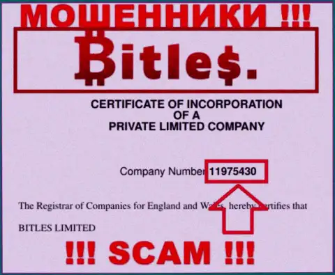 Регистрационный номер интернет мошенников Битлес, с которыми довольно рискованно совместно работать - 11975430