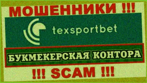 Тип деятельности internet-мошенников ТексСпорт Бет - это Букмекер, однако помните это обман !!!