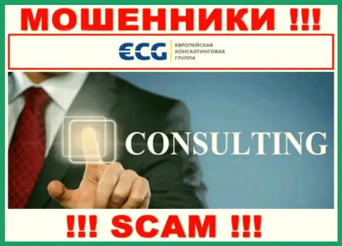 Consulting - это направление деятельности преступно действующей конторы EC-Group Com Ua
