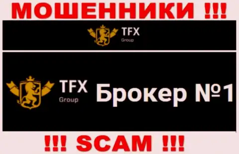Не доверяйте финансовые вложения TFXGroup , поскольку их направление работы, Forex, обман