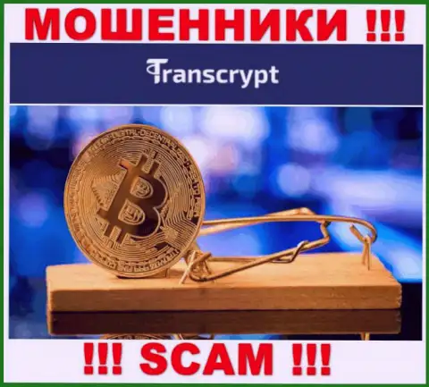 Не попадитесь в сети internet-обманщиков TransCrypt, не отправляйте дополнительные деньги