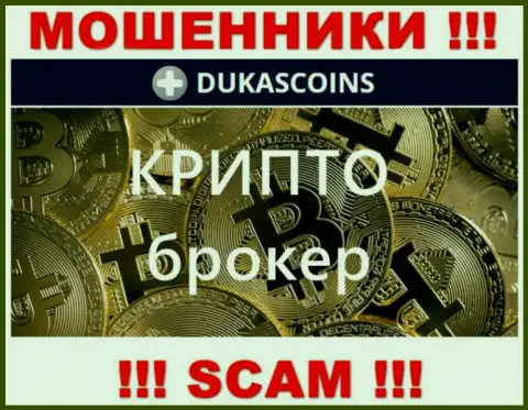 Род деятельности internet обманщиков DukasCoin - это Крипто торговля, однако помните это разводняк !!!