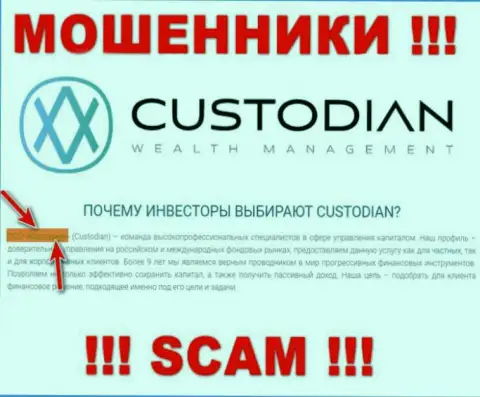 Юридическим лицом, владеющим internet-лохотронщиками Custodian, является ООО Кастодиан