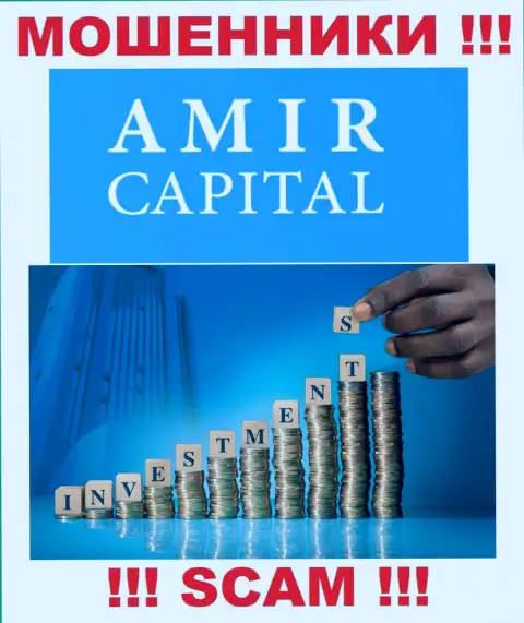 Не отдавайте финансовые активы в Амир Капитал Групп ОЮ, род деятельности которых - Инвестиции