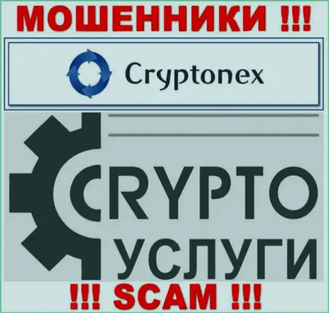 Работая с Crypto Nex, область работы которых Крипто услуги, рискуете остаться без вложенных средств