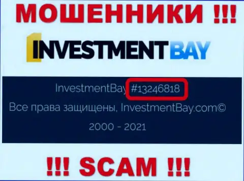 Номер регистрации, под которым зарегистрирована организация Investment Bay: 13246818