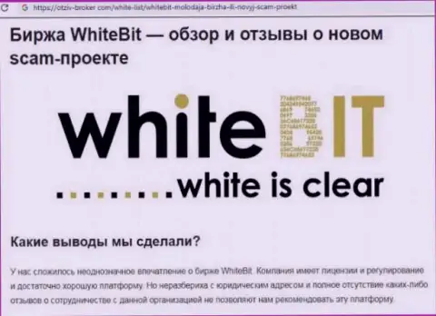 White Bit - это организация, совместное взаимодействие с которой приносит только убытки (обзор мошеннических уловок)