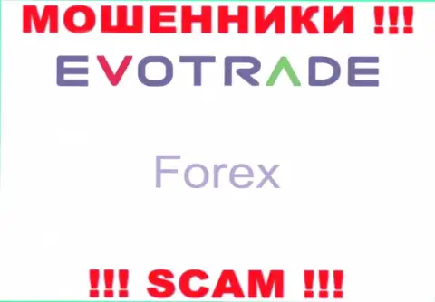 Evo Trade не внушает доверия, Forex - это то, чем заняты данные internet-махинаторы