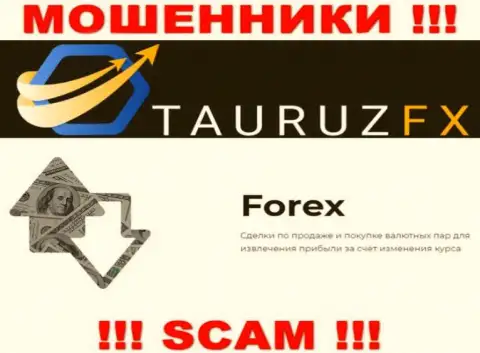 Forex - это именно то, чем промышляют интернет-мошенники ТаурузФХ