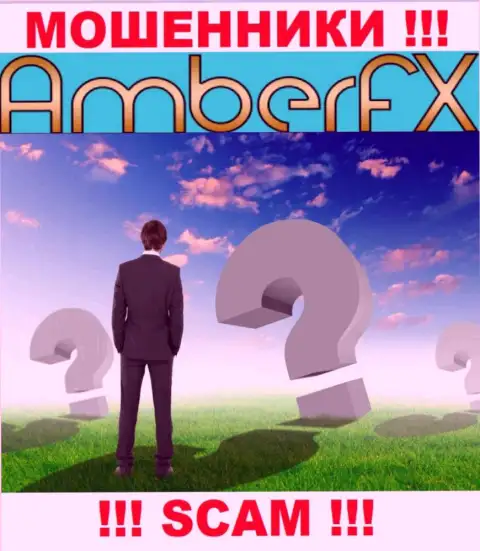 Хотите выяснить, кто именно руководит организацией AmberFX Co ? Не выйдет, такой инфы нет