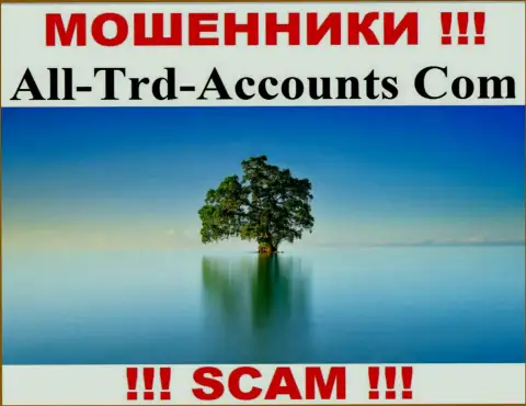 All Trd Accounts сливают деньги и остаются без наказания - они прячут инфу об юрисдикции