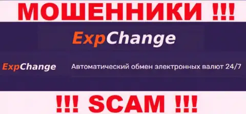 Крипто обменник - это то на чем, будто бы, профилируются аферисты ExpChange Ru