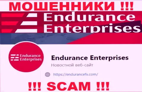 Пообщаться с интернет мошенниками из компании Endurance FX вы можете, если напишите сообщение им на адрес электронного ящика