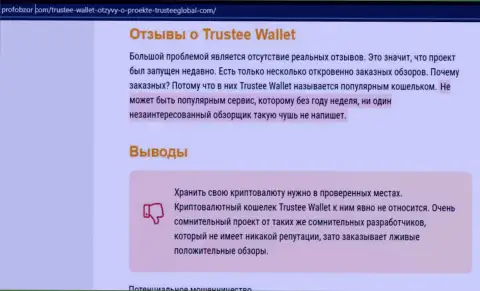 Trustee Wallet - это МОШЕННИКИ !!! Воруют вложенные деньги лохов (обзор)