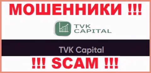 TVK Capital - это юр лицо интернет-разводил TVKCapital