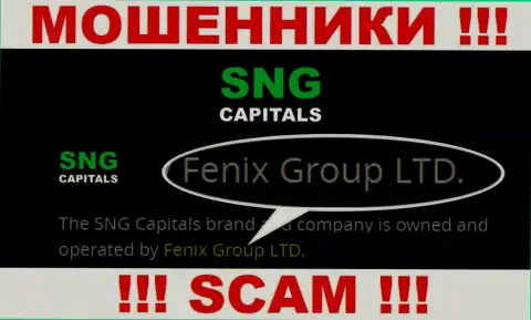 Fenix Group LTD это руководство преступно действующей организации Fenix Group LTD