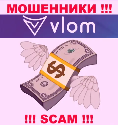 Брокерская компания Vlom работает только лишь на ввод денежных вложений, с ними Вы абсолютно ничего не сумеете заработать