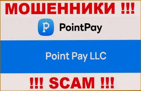 Шарашка Point Pay находится под крылом организации Поинт Пэй ЛЛК
