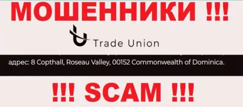 Все клиенты Trade Union однозначно будут оставлены без денег - данные интернет обманщики отсиживаются в офшорной зоне: 8 Copthall, Roseau Valley, 00152 Commonwealth of Dominica