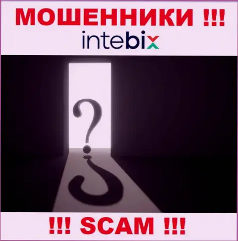 Берегитесь сотрудничества с internet-кидалами Intebix - нет информации о адресе регистрации