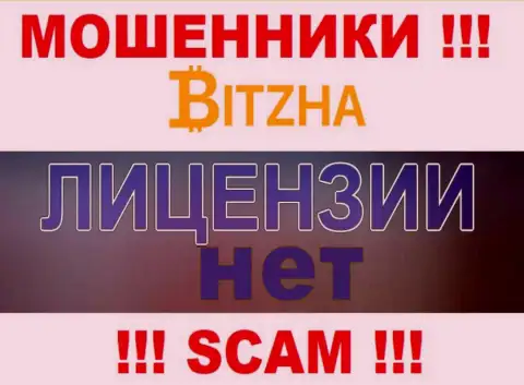 Мошенникам Bitzha24 Com не дали разрешение на осуществление их деятельности - крадут вложенные деньги