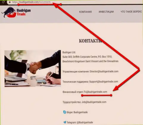 Официальный электронный адрес инвестиционной Forex организации BudriganTrade, с которого сыпались угрозы расправы